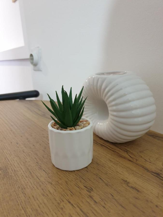 Fenix Apartman II ザイェチャル エクステリア 写真